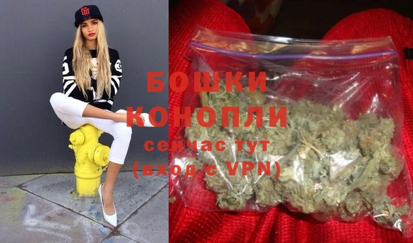 стаф Козельск