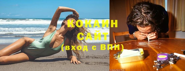 стаф Козельск
