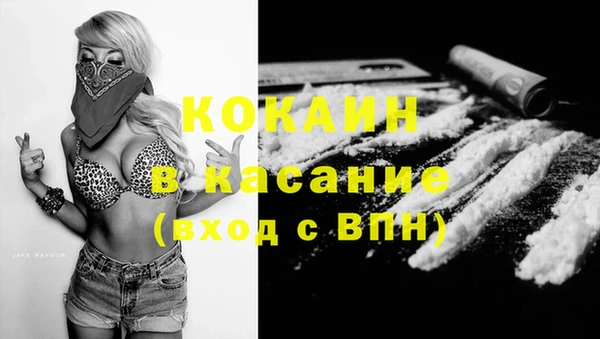 стаф Козельск